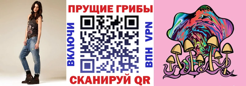 Псилоцибиновые грибы ЛСД  купить наркотики сайты  Приморск 