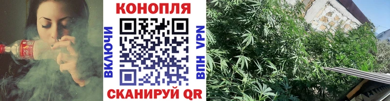наркотики  blacksprut ССЫЛКА  Бошки марихуана SATIVA & INDICA  Приморск 